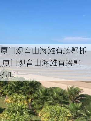 厦门观音山海滩有螃蟹抓,厦门观音山海滩有螃蟹抓吗