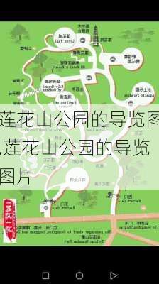 莲花山公园的导览图,莲花山公园的导览图片