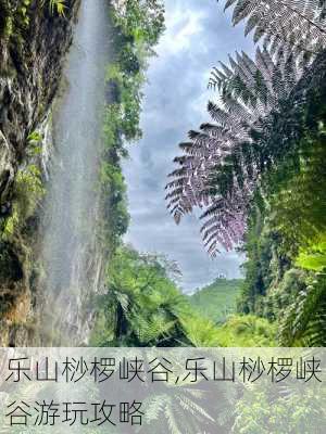 乐山桫椤峡谷,乐山桫椤峡谷游玩攻略