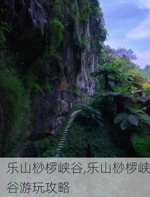 乐山桫椤峡谷,乐山桫椤峡谷游玩攻略