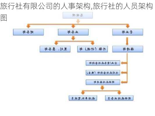 旅行社有限公司的人事架构,旅行社的人员架构图