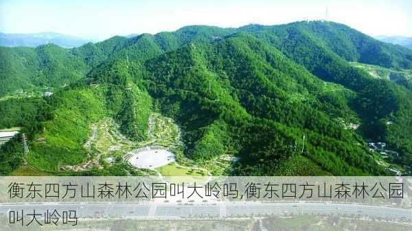 衡东四方山森林公园叫大岭吗,衡东四方山森林公园叫大岭吗