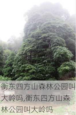 衡东四方山森林公园叫大岭吗,衡东四方山森林公园叫大岭吗