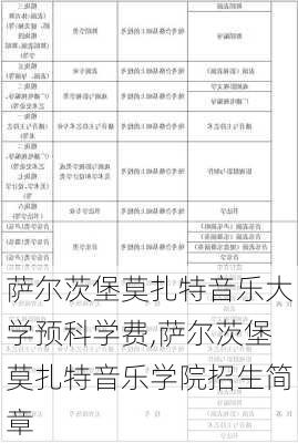 萨尔茨堡莫扎特音乐大学预科学费,萨尔茨堡莫扎特音乐学院招生简章