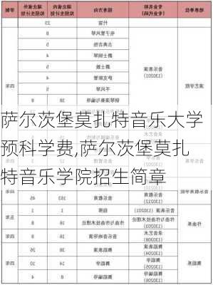 萨尔茨堡莫扎特音乐大学预科学费,萨尔茨堡莫扎特音乐学院招生简章