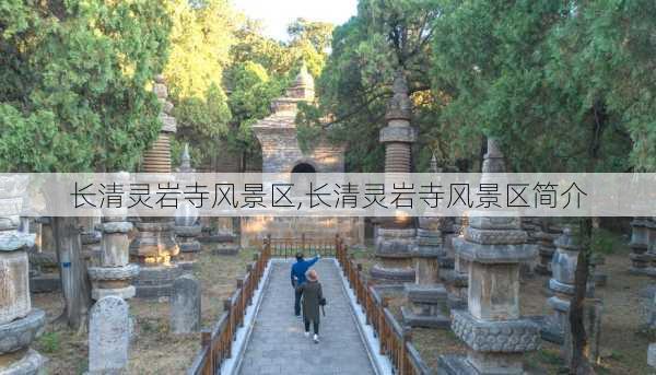 长清灵岩寺风景区,长清灵岩寺风景区简介