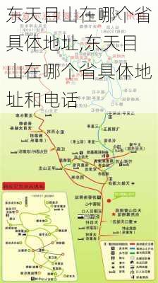 东天目山在哪个省具体地址,东天目山在哪个省具体地址和电话