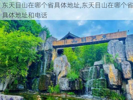 东天目山在哪个省具体地址,东天目山在哪个省具体地址和电话