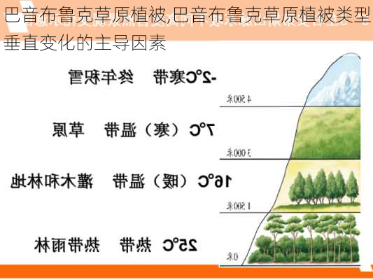 巴音布鲁克草原植被,巴音布鲁克草原植被类型垂直变化的主导因素