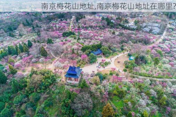 南京梅花山地址,南京梅花山地址在哪里?