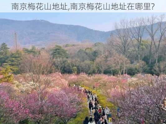 南京梅花山地址,南京梅花山地址在哪里?