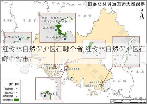 红树林自然保护区在哪个省,红树林自然保护区在哪个省市