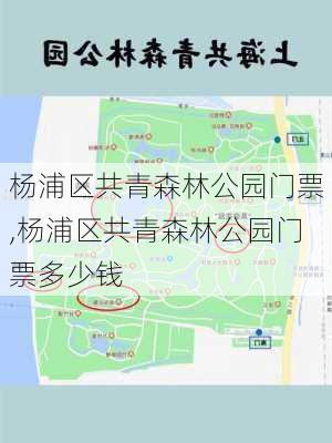 杨浦区共青森林公园门票,杨浦区共青森林公园门票多少钱