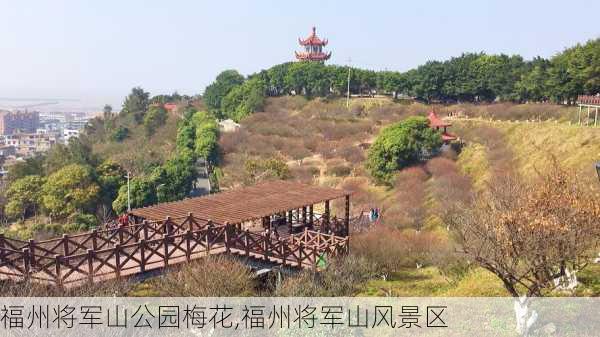 福州将军山公园梅花,福州将军山风景区