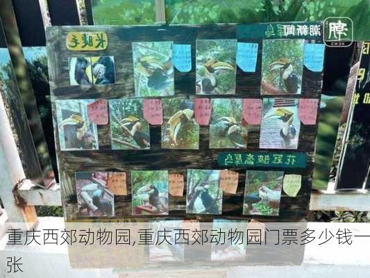 重庆西郊动物园,重庆西郊动物园门票多少钱一张