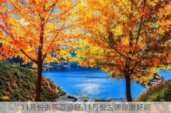 11月份去哪旅游好,11月份去哪旅游好呢