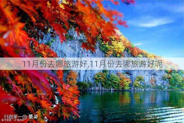 11月份去哪旅游好,11月份去哪旅游好呢