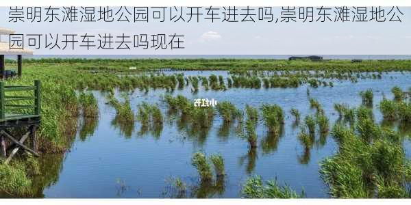 崇明东滩湿地公园可以开车进去吗,崇明东滩湿地公园可以开车进去吗现在