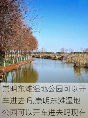 崇明东滩湿地公园可以开车进去吗,崇明东滩湿地公园可以开车进去吗现在