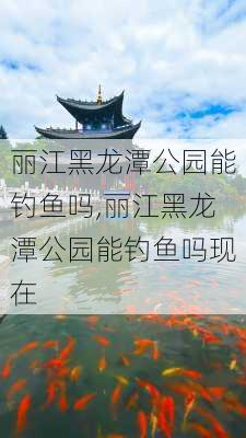 丽江黑龙潭公园能钓鱼吗,丽江黑龙潭公园能钓鱼吗现在