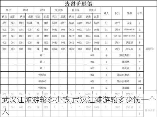 武汉江滩游轮多少钱,武汉江滩游轮多少钱一个人