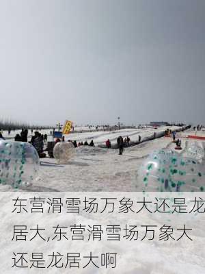 东营滑雪场万象大还是龙居大,东营滑雪场万象大还是龙居大啊