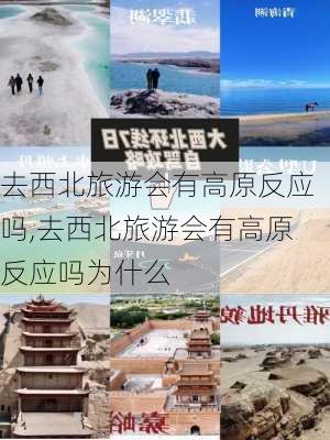 去西北旅游会有高原反应吗,去西北旅游会有高原反应吗为什么