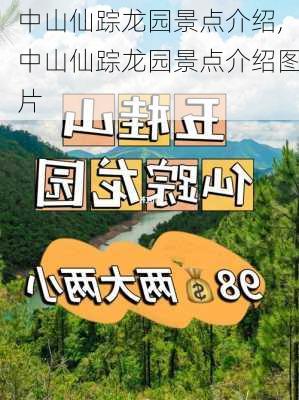 中山仙踪龙园景点介绍,中山仙踪龙园景点介绍图片