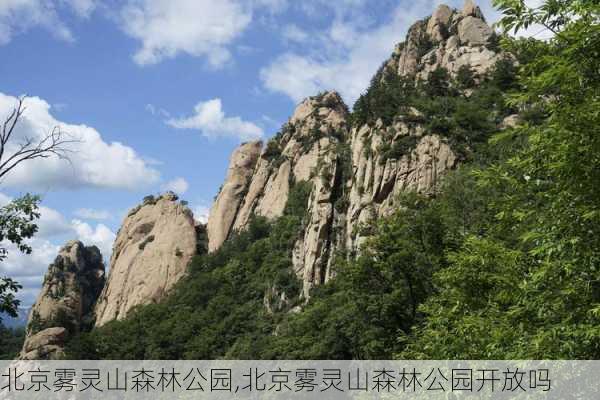 北京雾灵山森林公园,北京雾灵山森林公园开放吗