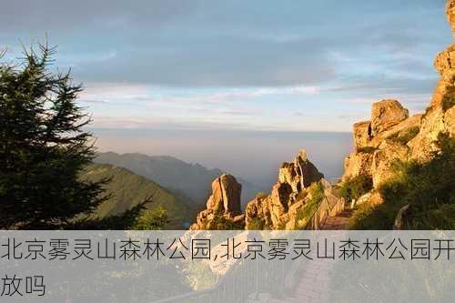 北京雾灵山森林公园,北京雾灵山森林公园开放吗