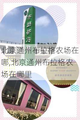 北京通州布拉格农场在哪,北京通州布拉格农场在哪里