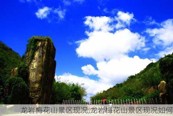 龙岩梅花山景区现况,龙岩梅花山景区现况如何