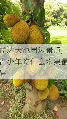 孟达天池周边景点,青少年吃什么水果最好