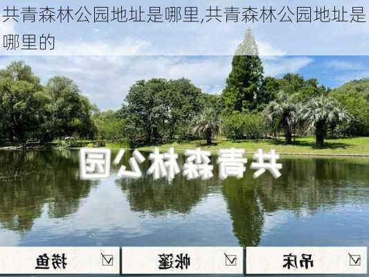 共青森林公园地址是哪里,共青森林公园地址是哪里的