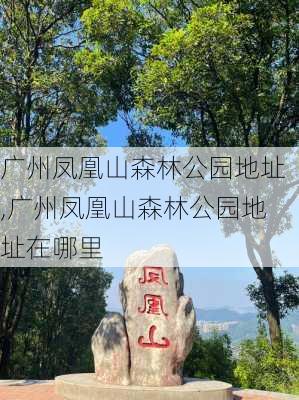 广州凤凰山森林公园地址,广州凤凰山森林公园地址在哪里