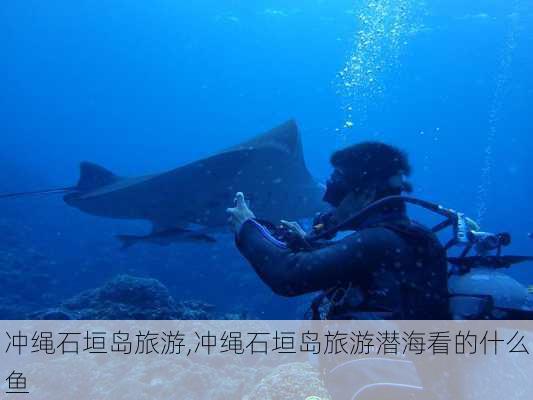 冲绳石垣岛旅游,冲绳石垣岛旅游潜海看的什么鱼