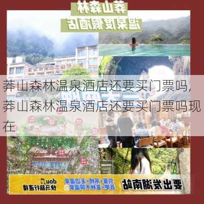 莽山森林温泉酒店还要买门票吗,莽山森林温泉酒店还要买门票吗现在