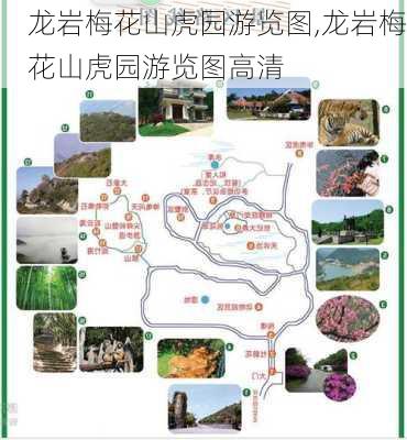 龙岩梅花山虎园游览图,龙岩梅花山虎园游览图高清