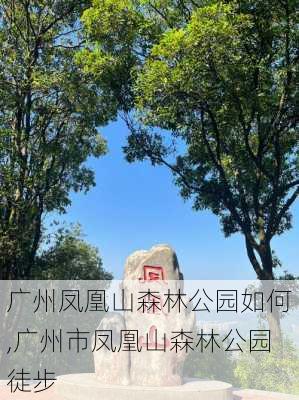 广州凤凰山森林公园如何,广州市凤凰山森林公园徒步