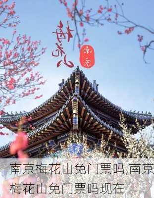 南京梅花山免门票吗,南京梅花山免门票吗现在