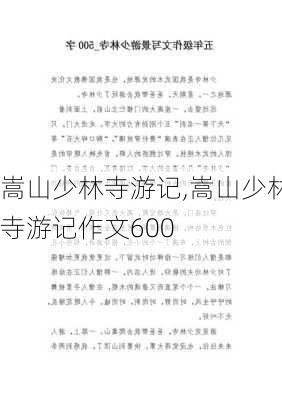 嵩山少林寺游记,嵩山少林寺游记作文600