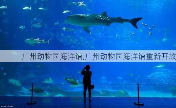 广州动物园海洋馆,广州动物园海洋馆重新开放