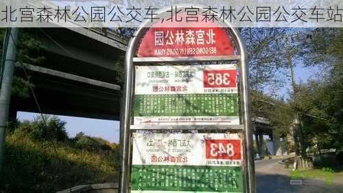 北宫森林公园公交车,北宫森林公园公交车站