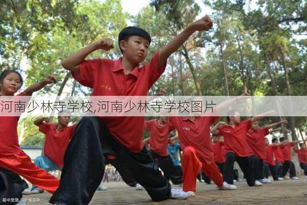 河南少林寺学校,河南少林寺学校图片