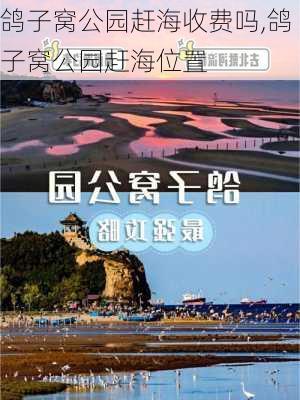 鸽子窝公园赶海收费吗,鸽子窝公园赶海位置