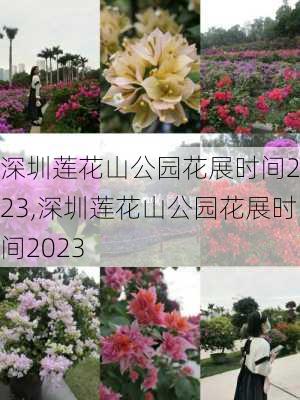 深圳莲花山公园花展时间2023,深圳莲花山公园花展时间2023