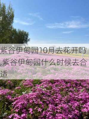 紫谷伊甸园10月去花开吗,紫谷伊甸园什么时候去合适