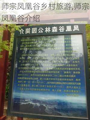 师宗凤凰谷乡村旅游,师宗凤凰谷介绍