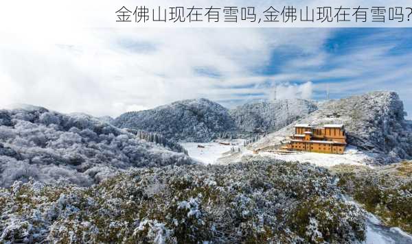 金佛山现在有雪吗,金佛山现在有雪吗?