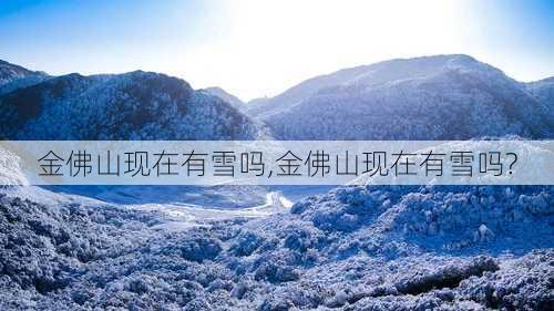 金佛山现在有雪吗,金佛山现在有雪吗?